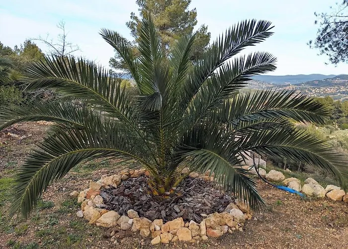 -villa Les Pins- * Bandol